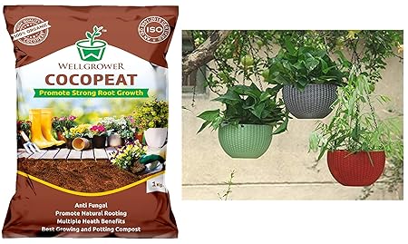 Well Grower Pack of 2 Cocopeat Powder for Hydroponics Plant for Garden | Hanging | Wall Pots Plants- 1 KG and Plastic Flower Pot Hanging Basket with Hook Chain, Multicolor, 5 in, 2 Pieces