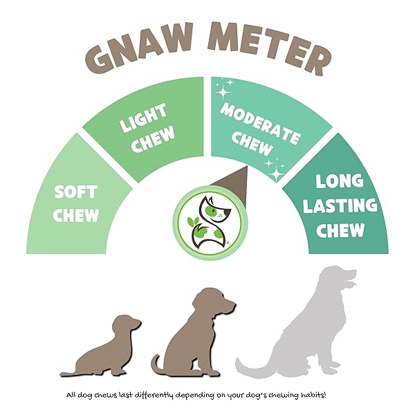 NATURE GNAWS BRAIDED BEEF CHEWS FOR DOGS 5-6″ (3 COUNT) – LONG LASTING FOR SMALL AND MEDIUM DOGS – NATURAL BEEF GULLET JERKY DOG CHEW TREATS