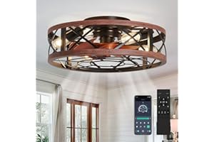 AQUBT 19'' Caged Ceiling Fans with Lights and Remote, Fandelier Ceiling Fan with Light, 6 Speeds and Reversible, Low Profile Ceiling Fan with Light for Bedroom, Living Room and Kitchen