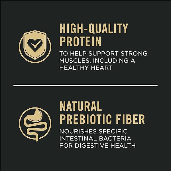 PURINA PRO PLAN COMPLETE ESSENTIALS SHREDDED BLEND CHICKEN AND RICE DOG FOOD DRY FORMULA WITH PROBIOTICS FOR DOGS – 5 LB.