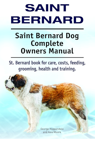 george the saint bernard