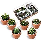 Treela 6 Pcs Succulent Candles Novelty Decorative Cactus Candles Tealight Candle Handmade Baby Shower Home Decorations Plant with Mini Clay Holders for Birthday Wedding House Warming, Spa Party Gift