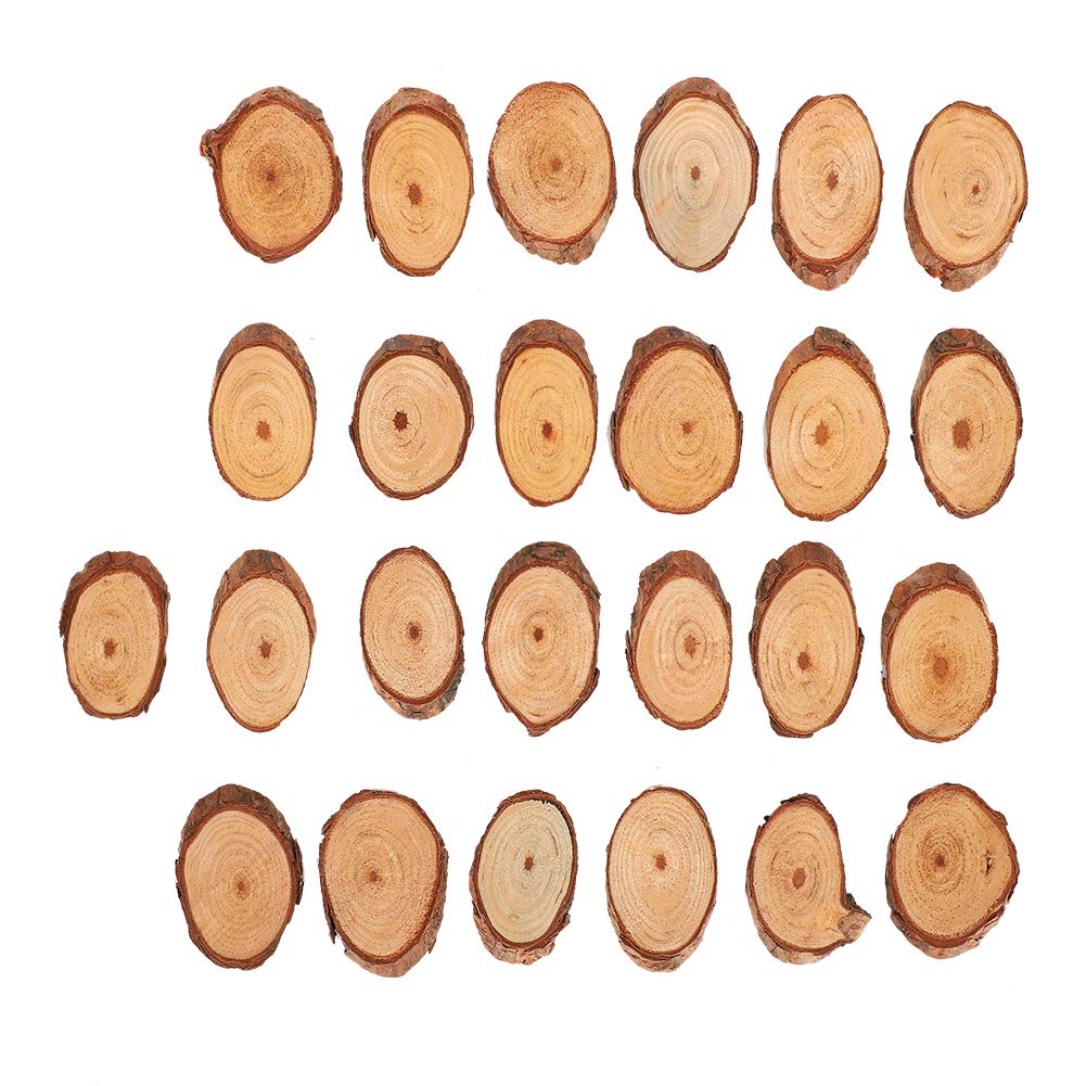 Round Wood Discs with Pre Drilled Hole,Tree Bark Wooden Circles for Arts Crafts Weddings Ornaments DIY