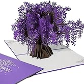 3D Pop Up Greeting Cards for Women - Thoughtful Gift for Mom Wife Girlfriend Sister Daughter Friend | Birthday Thank You Anniversary Valentine's Day Christmas Mother's Day Thinking of You Get Well Card