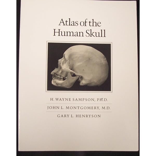 Human Osteology: 9780123741349: Medicine & Health Science Books