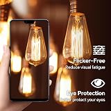 Caldarax 3 Pack B22 Edison Bulbs ST64 Amber Glass 2700K 600 LM view 6