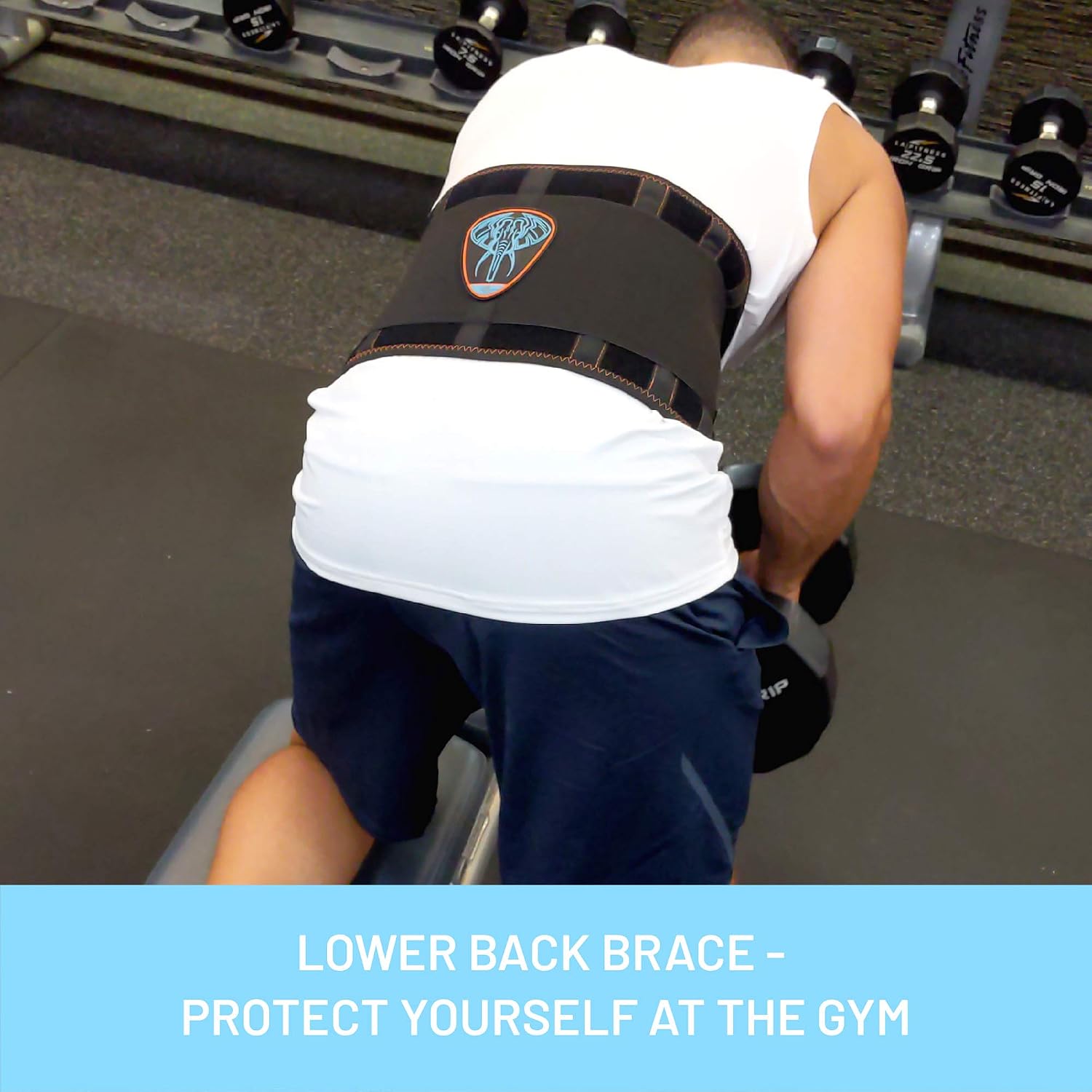 EVERYDAY MEDICAL Lumbar Support Belt I Lower Back Brace I Targeted Lower Back Pain Relief for Back Spasms Sciatica - Image 3
