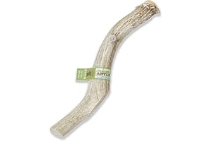 Prairie Dog Pet Products Deer Large Antler Treat, 8-9"