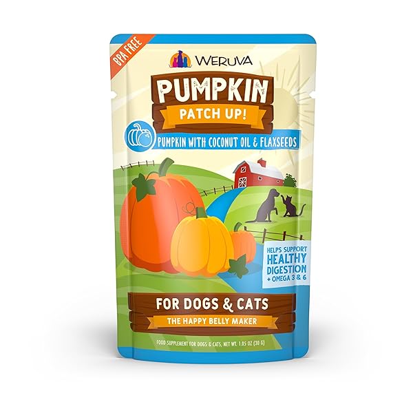 WERUVA PUMPKIN PATCH UP! PUMPKIN POUCHES FOR DOGS & CATS