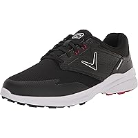 シューズ(女性用) ECCO W GOLF BIOM HYBRID3 BOA GORE-TEX Amazon | ECCO レディース Biom Hybrid 3 Boa Gore-tex ゴルフ