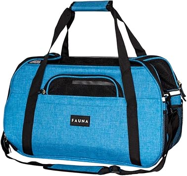 don daddy french bulldog