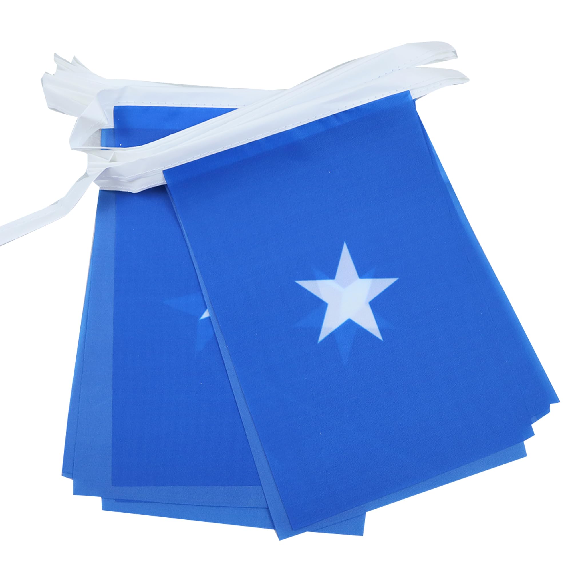 AZ FLAG Somalia Bunting Flag, 20 Ft Garland with 20 Small Somali Flags 8'' x 6'', 100% Polyester String Pennant, 6 meters — image 1