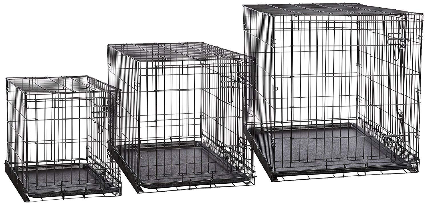 ellie bo dog crate 48