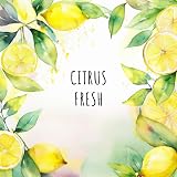 Lu-mist 3 x 60ml Assorted Toilet Bowl Spray Pack Citrus Rose Coastal Breeze view 5
