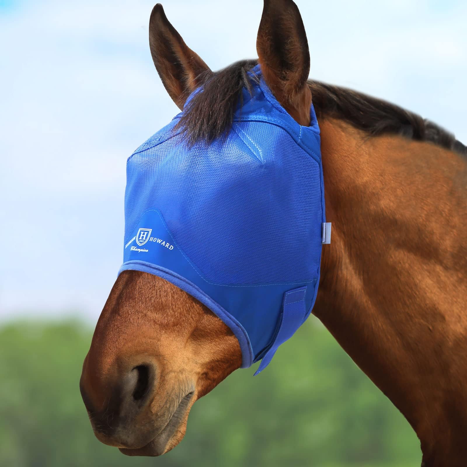 Photo 1 of Harrison Howard Horse Fly Mask Standard Signature Blue Arabian Medium