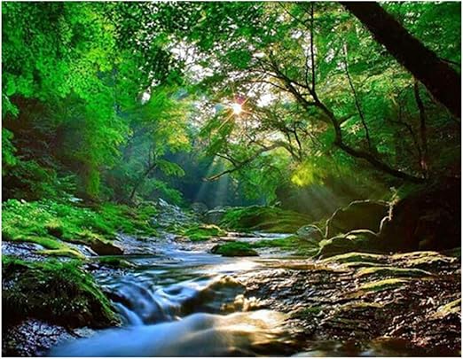 LIPENGYU Pintura sobre Lienzo Bosques Verdes Simples y Frescos Flores y