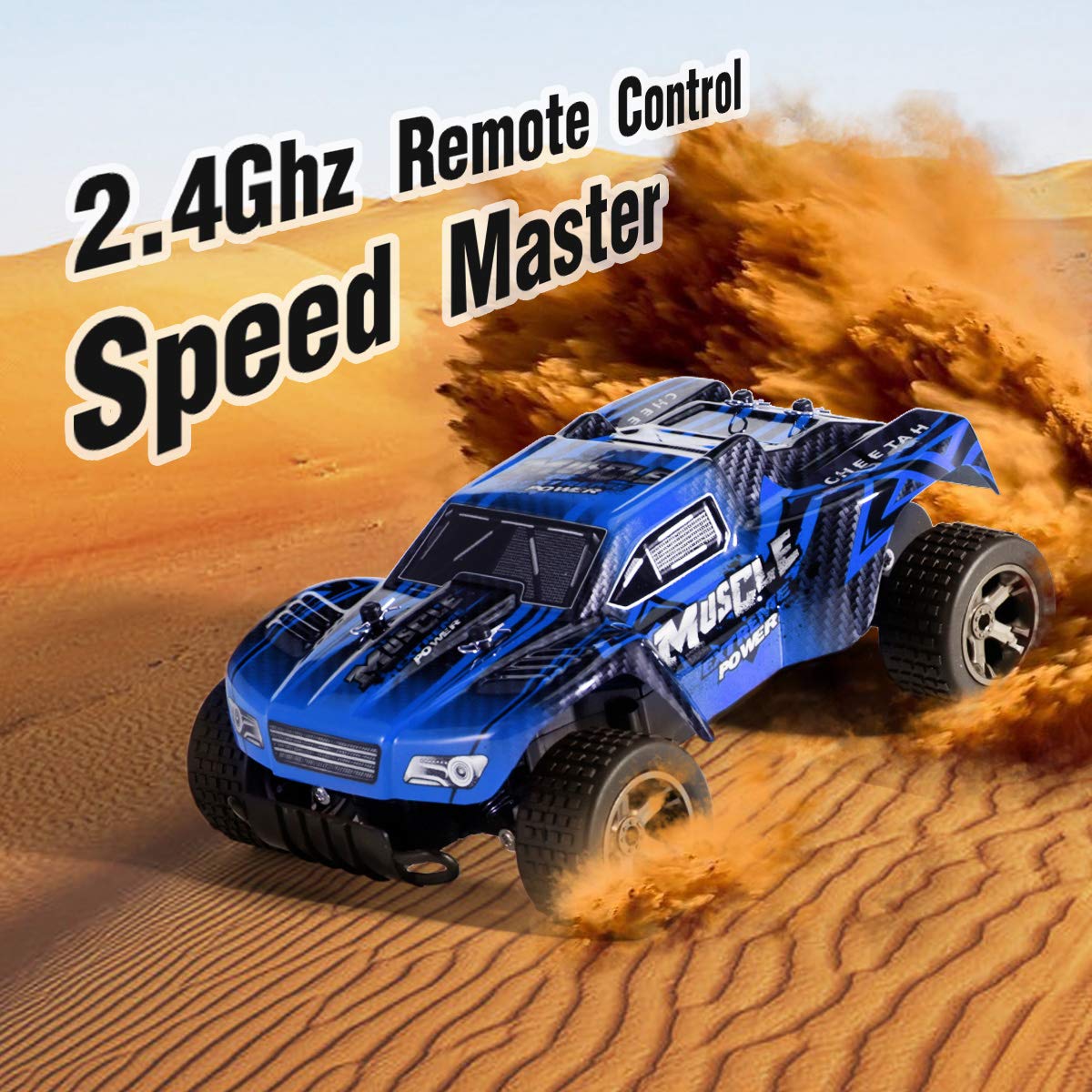 remote control dirt track cars