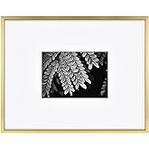 MCS Master & Co. Foundry Metal 11x14 Matted Picture Frame with 5x7 Photo Display, Brass Vertical & Horizontal Wall Hanging Frame for Photos & Artwork (1-Pack)