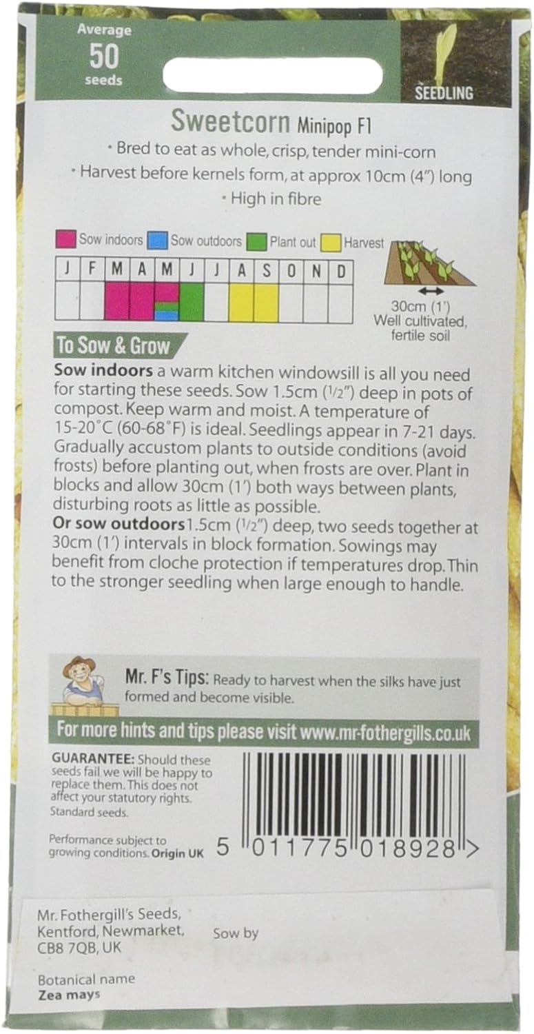 Mr Fothergill's Sweet Corn Minipop F1, Yellow - Image 3