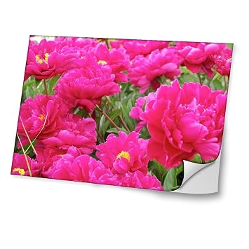 Virano Fleurs 10058 Fleur Rose Autocollant Vinyl Adhésif Dessin Coloré Et Effet De Cuir Pour Les Portable Tactile Et Ordinateurs Portables Pour