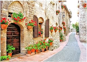 Italian Backdrop Flower Street Landscape Photography Background 7x5ft Italy Landmark Architectural Photography Background for Photography BT024