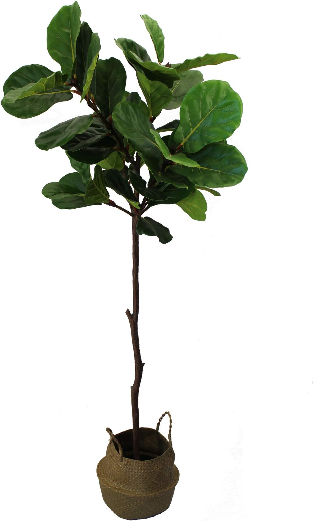 UNIQUE FOREST ARTS Artificial Tree,Artificial Plant, Artificial Fiddle Leaf Fig Tree, 6-Feet, 4-feet,Green (Size:70" high 35" Wide with Seagrass Belly Basket)