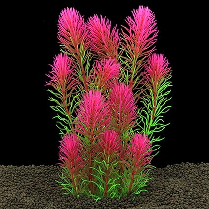Amazon Com Kibun 10 Inch Tall Aquarium Decor Fish Tank