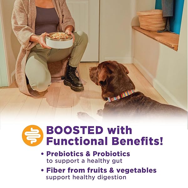 WELLNESS BOWL BOOSTERS, DOG FOOD TOPPER FOR SMALL, MEDIUM, & LARGE BREEDS, GRAIN FREE, NATURAL, FREEZE DRIED, DIGESTIVE HEALTH CHICKEN, 4 OUNCE BAG (PACK OF 1)