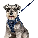 Eagloo Small Dog Harness and Leash Set, Step in Puppy Vest with Breathable Soft Mesh, Walking Reflective Pet Harness for Small Dogs, Navy Blue, S