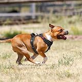 PoyPet No Pull Dog Harness Reflective Front Chest Back Clip Adjustable view 5