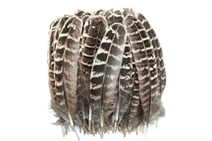 LWINGFLYER 100pcs Natural Color Pheasant Feathers 5-7 Inches Spotted Wing Quill Feathers for Hats Crafts Clothing Mask Decorating Party Decorations Accessories