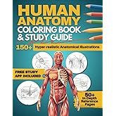 Human Anatomy Coloring Book and Study Guide: 150+ Hyper-Realistic Anatomical Illustrations, 50+ In-depth Anatomy and Physiology Study Guide Pages, and ... Medical, Nursing, and Healthcare Students.