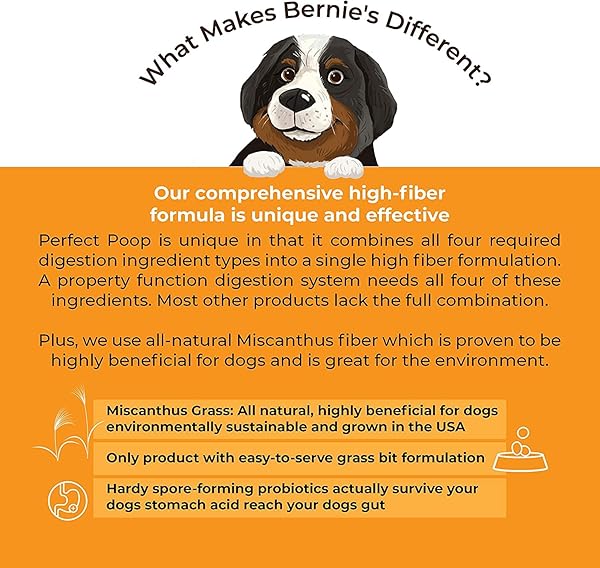 PERFECT POOP DIGESTION & GENERAL HEALTH SUPPLEMENT FOR DOGS: FIBER, PREBIOTICS, PROBIOTICS & ENZYMES RELIEVE DIGESTIVE CONDITIONS, OPTIMIZE STOOL, AND IMPROVE HEALTH (CHEDDAR CHEESE, 4.2 OZ)