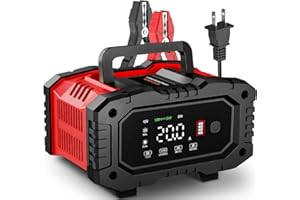 20-Amp Car Battery Charger, 12V/20A and 24V/10A LiFePO4,Lead-Acid(AGM/Gel/SLA) Automatic Smart Trickle Charger Maintainer,Des
