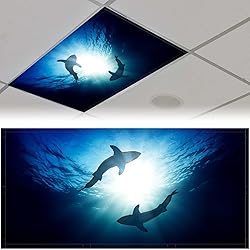 Patelai 4 x 2 Feet Fluorescent Light Cover for