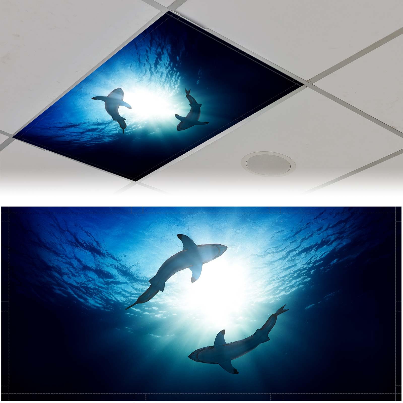 Patelai 4 x 2 Feet Fluorescent Light Cover for