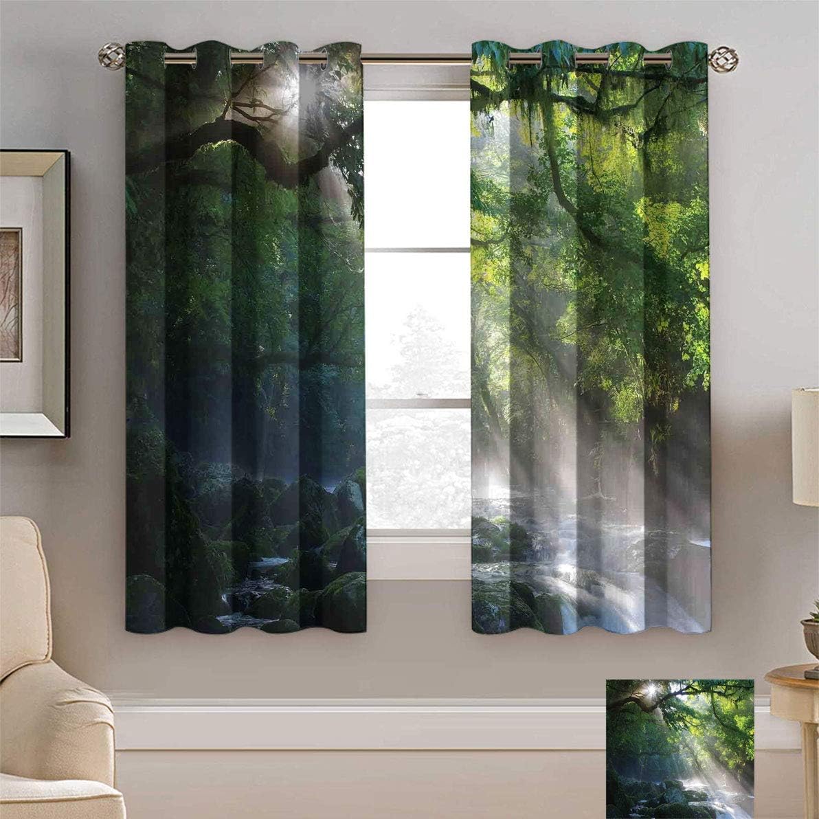 Alexdemo Rainforest Blackout Curtains, Stream in The Jungle