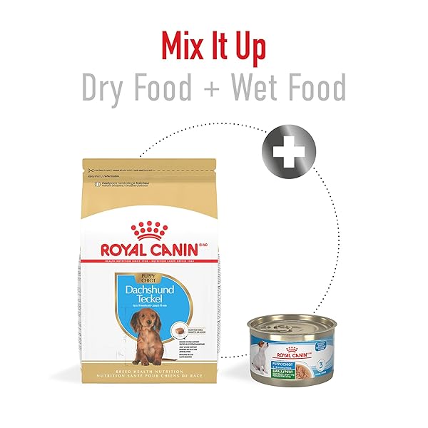 ROYAL CANIN BREED HEALTH NUTRITION DACHSHUND PUPPY DRY DOG FOOD, 2.5 LB BAG
