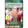 Sow Right Seeds - Large Mixed Snapdragon Flower Seeds for Planting - Non-GMO Heirloom Packet with Instructions to Grow - Fragrant Annual Flower Spikes in a Mix of Colors - Long-Lasting Blooms
