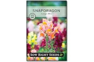 Sow Right Seeds - Large Mixed Snapdragon Flower Seeds for Planting - Non-GMO Heirloom Packet with Instructions to Grow - Fragrant Annual Flower Spikes in a Mix of Colors - Long-Lasting Blooms