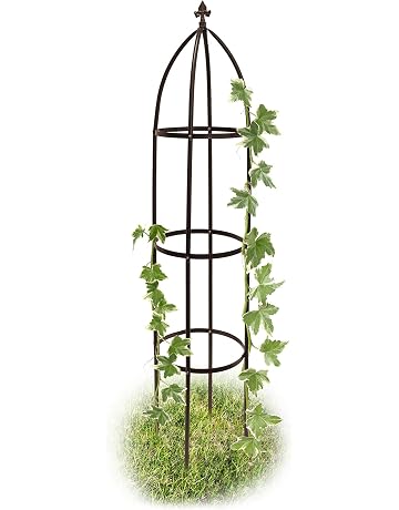 Amazon.es: Soportes para plantas: Jardín