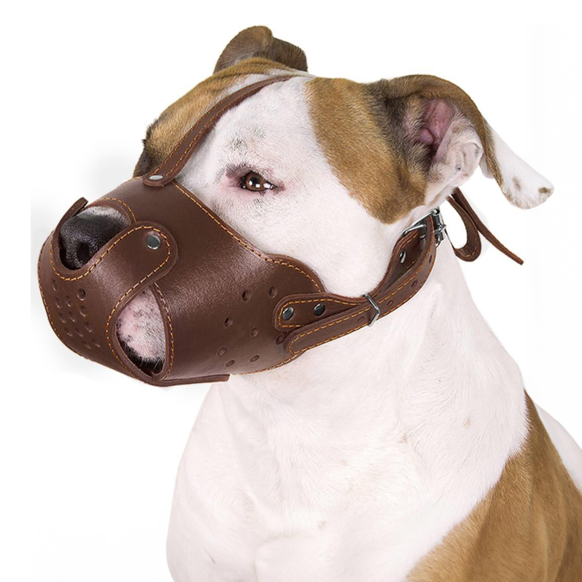 CollarDirect Dog Muzzle Pitbull Amstaff Basket Genuine Leather Staffordshire Terrier