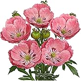Hollyone 5Pcs Pink Poppy Flowers Artificial Bouquet 32.2" Silk Fake Poppy Flowers Arrangement Real Touch Faux Poppies Flower Long Stem for DIY Wedding Party Table Centerpiece Table Home Decor