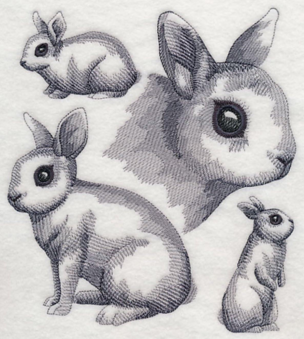 Dwarf Hotot Rabbit Custom Embroidered Sweatshirt Shirt