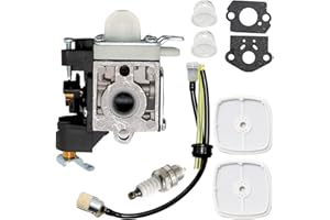 RB-K106 Carburetor Carb Kit Replacement for Echo ES-250 PB-250 PB-250LN Leaf Blower