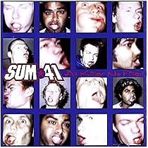 All Killer No Filler: Sum 41, Brown Sound, Bizzy D, Stevo 32