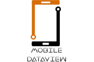 Mobile DataView