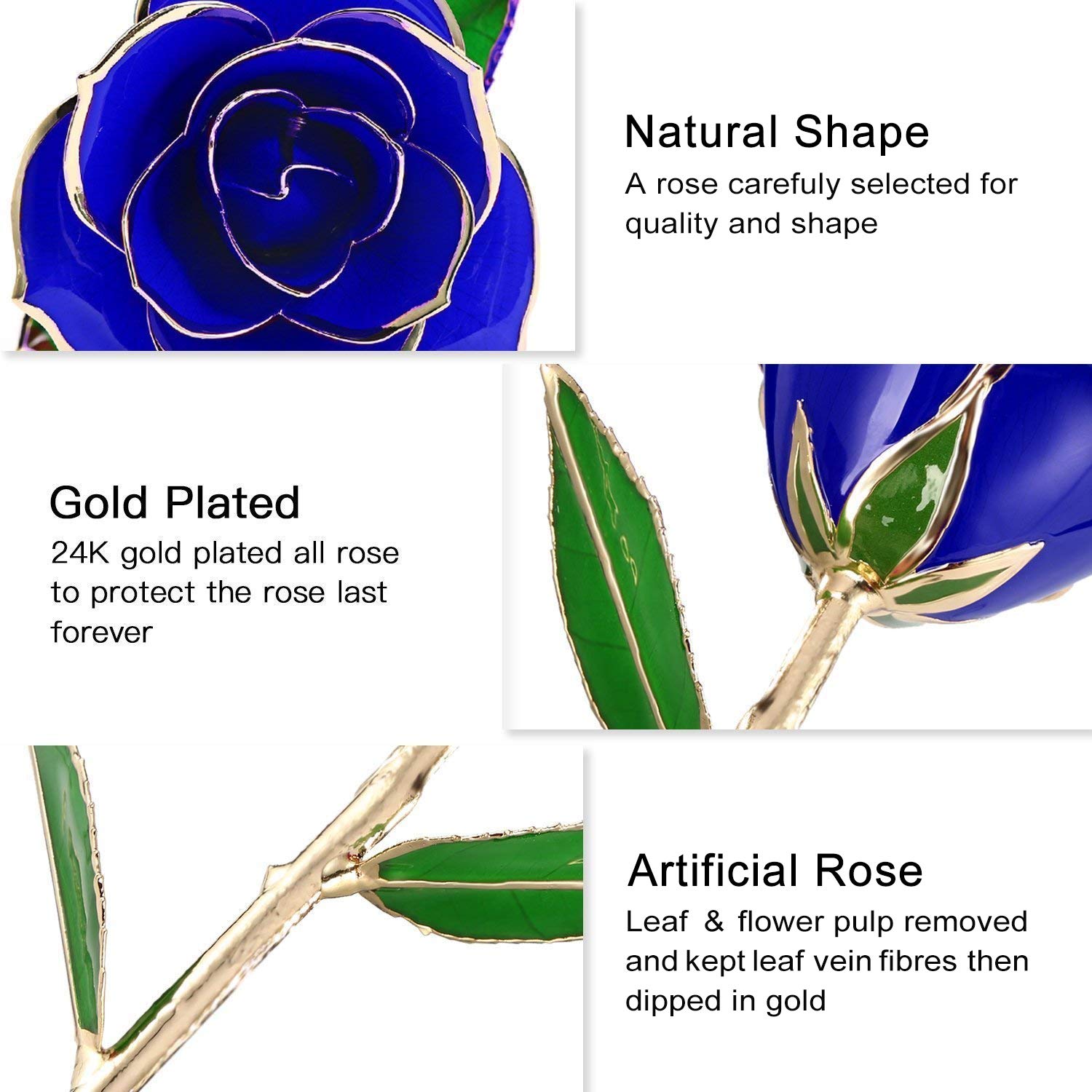 NICEAO 24K Gold Foil Trim Red Rose Flower Long Stem with Transparent Stand, Best Gift for Valentines Day, Mothers Day, Anniversary, Wedding, Birthday Gift, Treating Yourself (Blue)