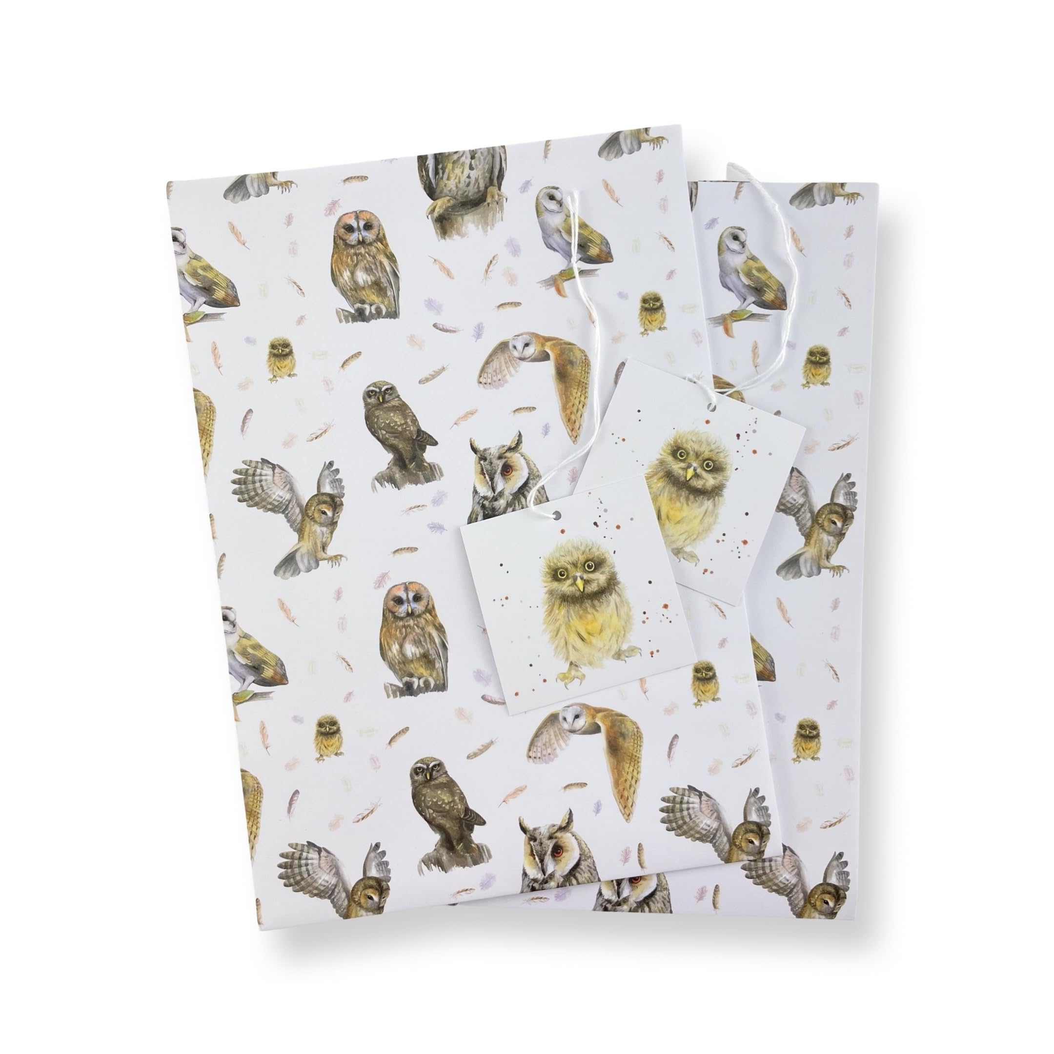 Owl Owls Birds recycled and recyclable gift wrap - 2 sheets and 2 tags - birthday - Christmas - art and craft project