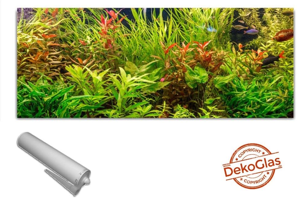 Kitchen back wall by DekoGlas 125x50cm splash guard plant leafs
